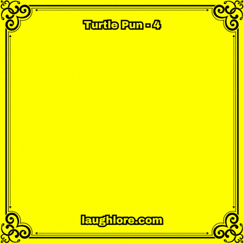 Turtle Pun 4