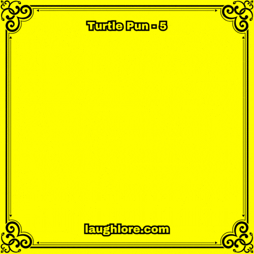 Turtle Pun 5