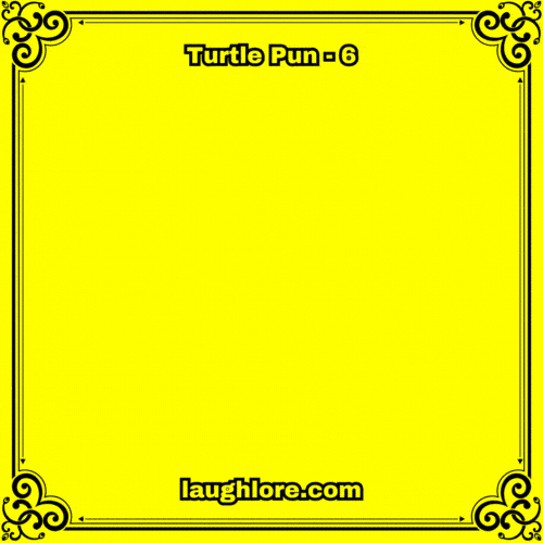 Turtle Pun 6