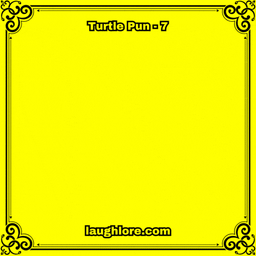 Turtle Pun 7