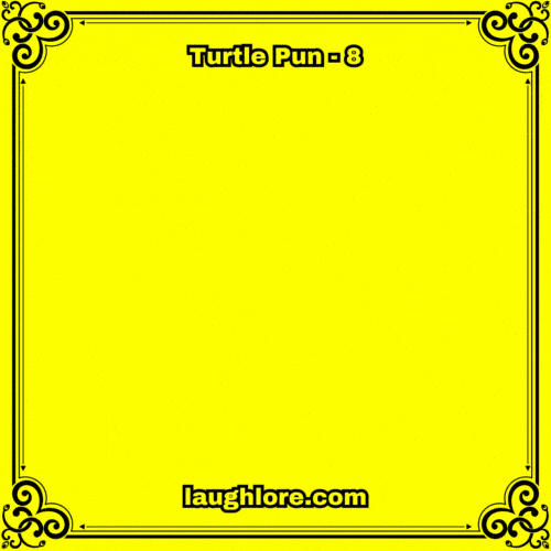 Turtle Pun 8