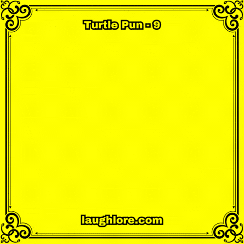 Turtle Pun 9