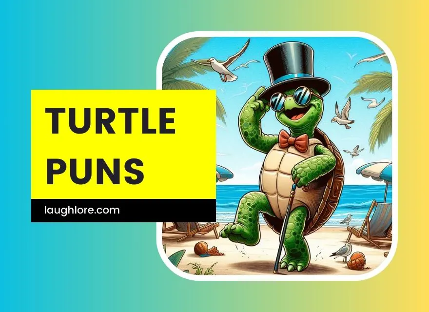 Turtle Puns