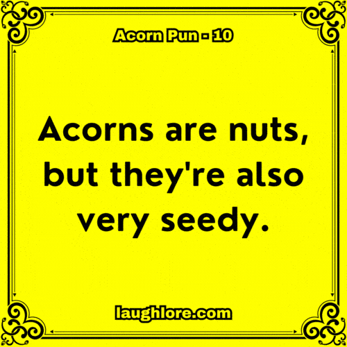 Acorn Pun 10