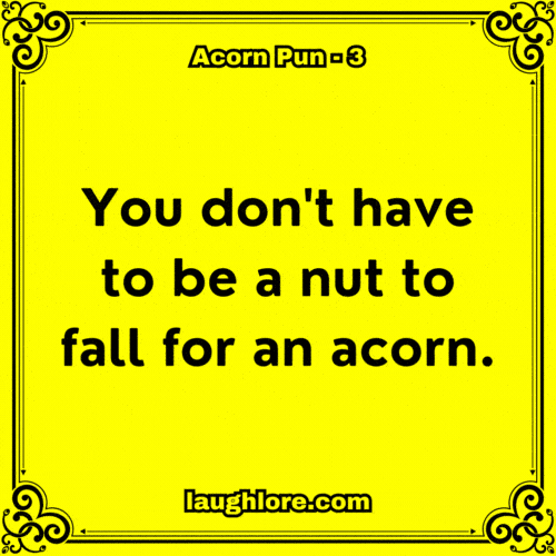 Acorn Pun 3