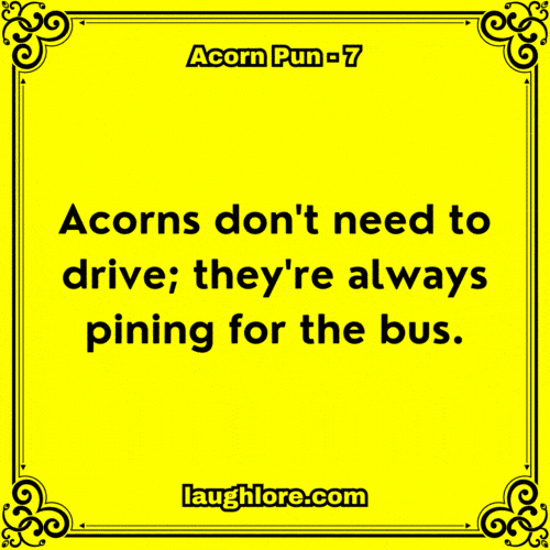Acorn Pun 7