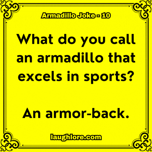 Armadillo Joke 10