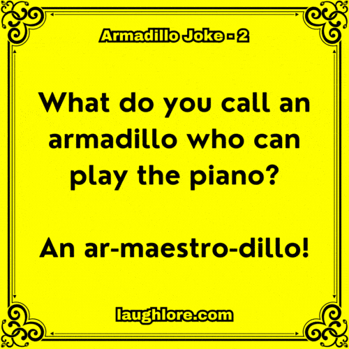 Armadillo Joke 2