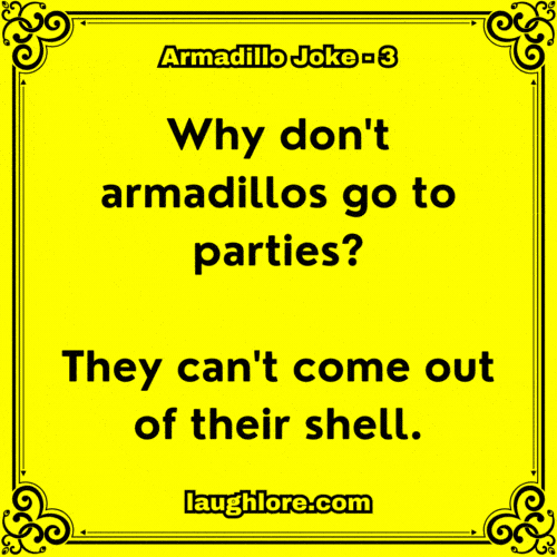 Armadillo Joke 3