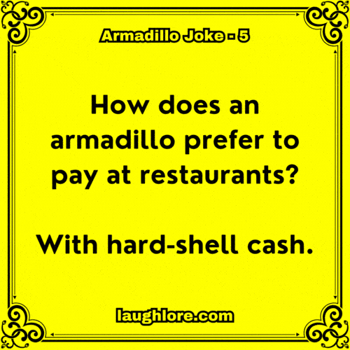 Armadillo Joke 5
