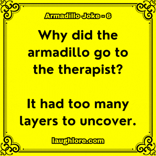 Armadillo Joke 6