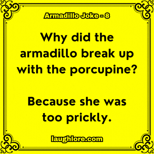 Armadillo Joke 8