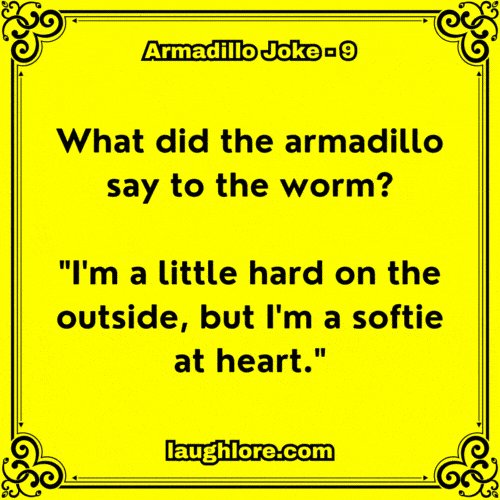 Armadillo Joke 9
