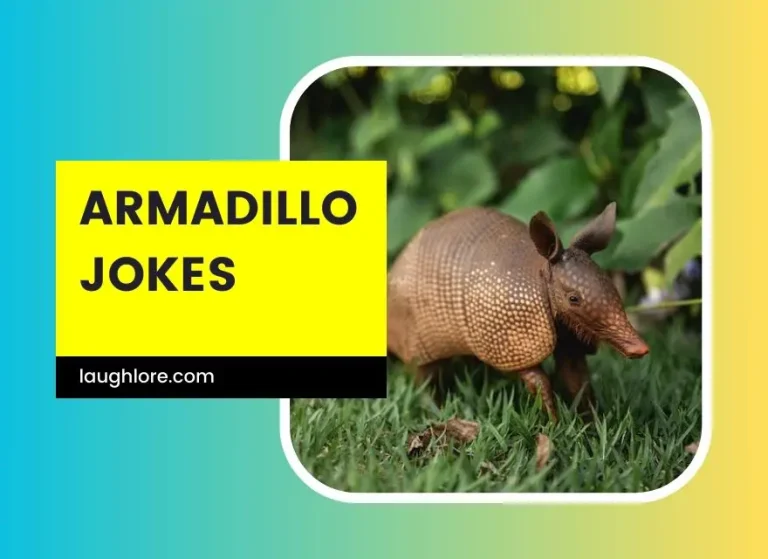 150 Armadillo Jokes