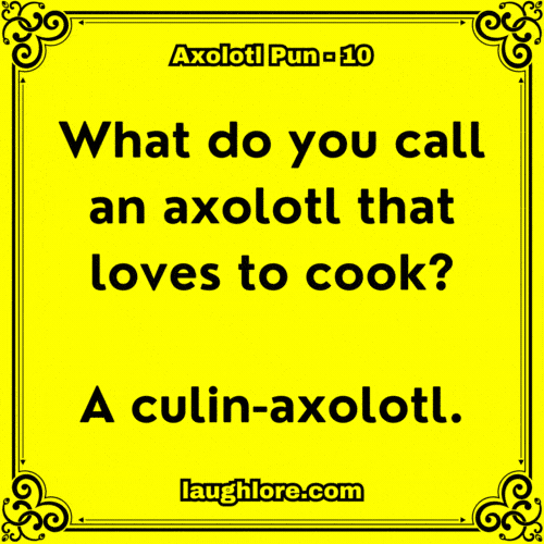 Axolotl Pun 10
