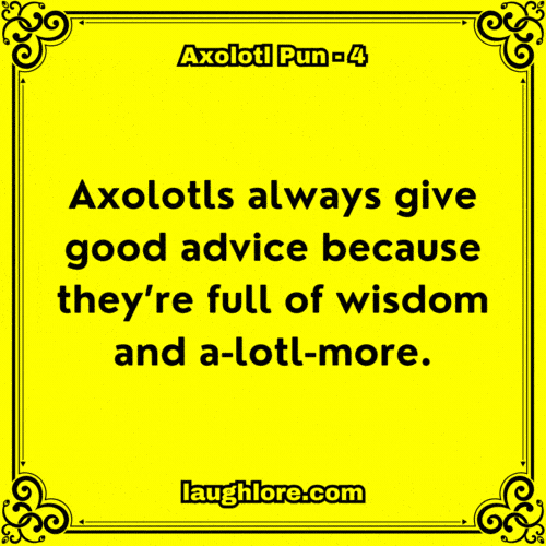 Axolotl Pun 4