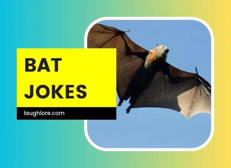 125 Bat Jokes