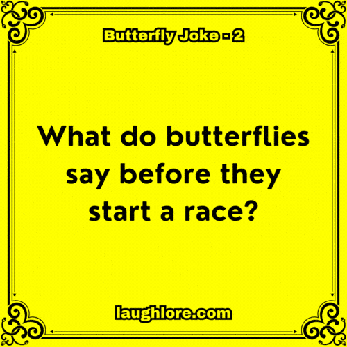 Butterfly Joke 2