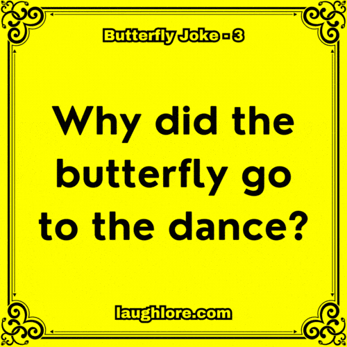 Butterfly Joke 3
