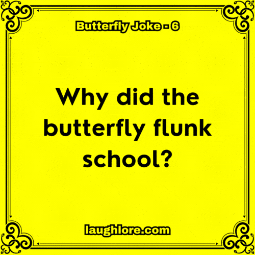 Butterfly Joke 6