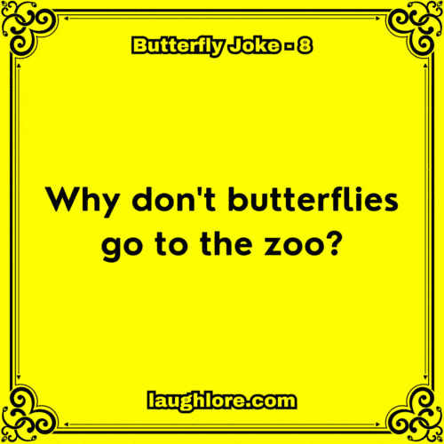 Butterfly Joke 8