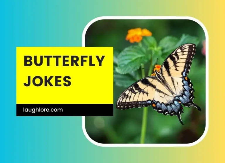 125 Butterfly Jokes
