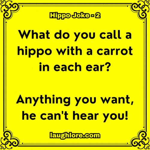 Hippo Joke 2