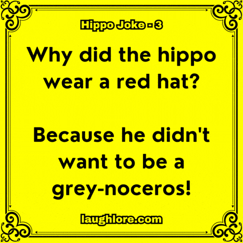 Hippo Joke 3