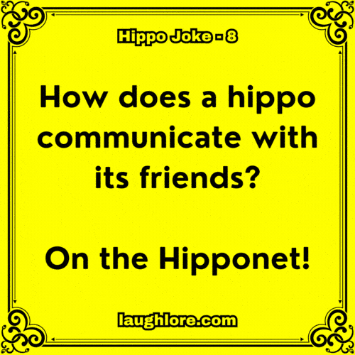 Hippo Joke 8