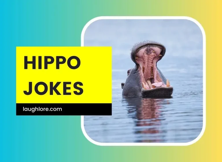 144 Hippo Jokes