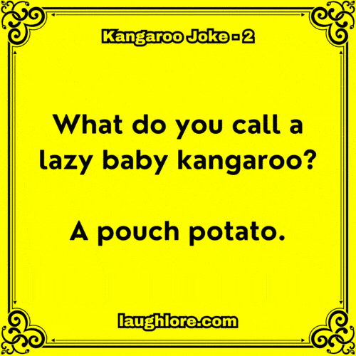 Kangaroo Joke 2