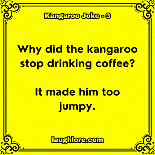 Kangaroo Joke 3