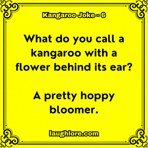 Kangaroo Joke 6