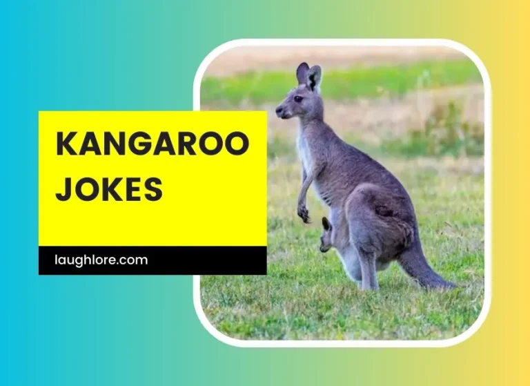 150 Kangaroo Jokes