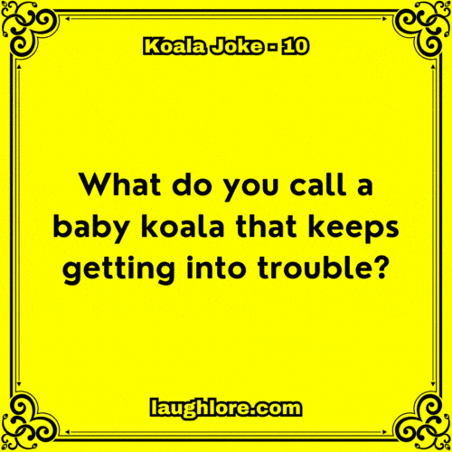Koala Joke 10