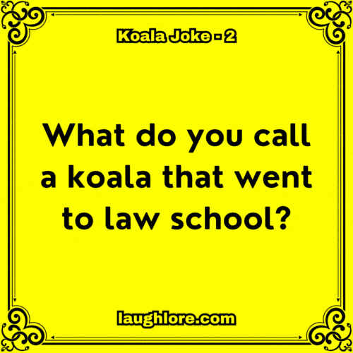 Koala Joke 2