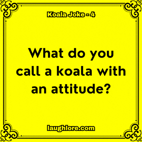 Koala Joke 4