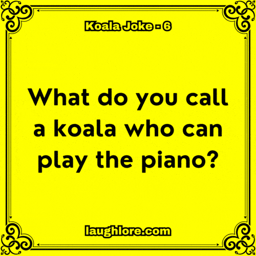 Koala Joke 6