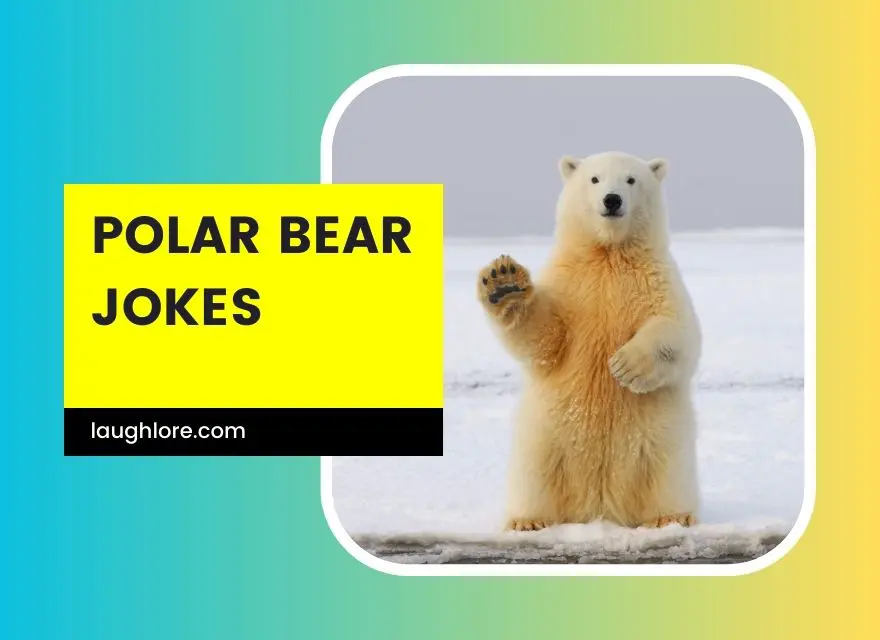 Polar Bear Jokes