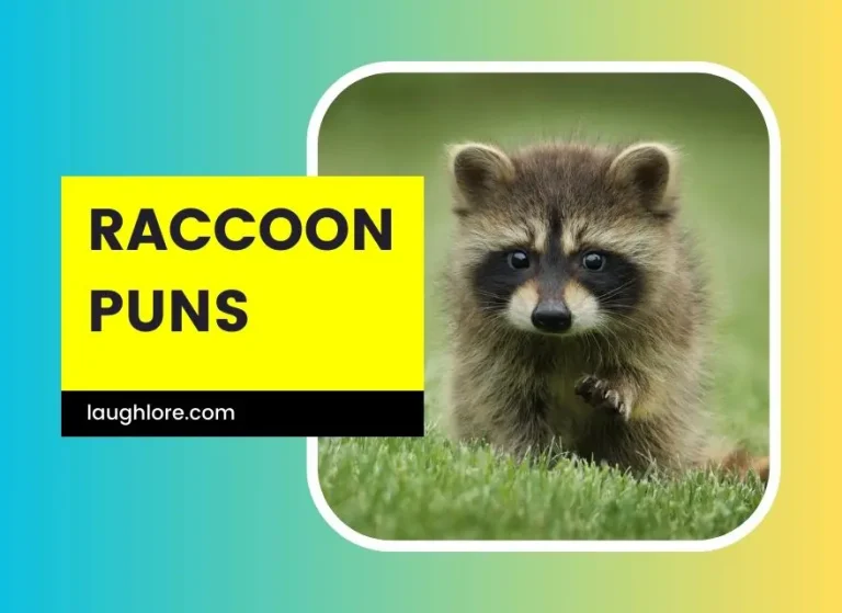 150 Raccoon Puns
