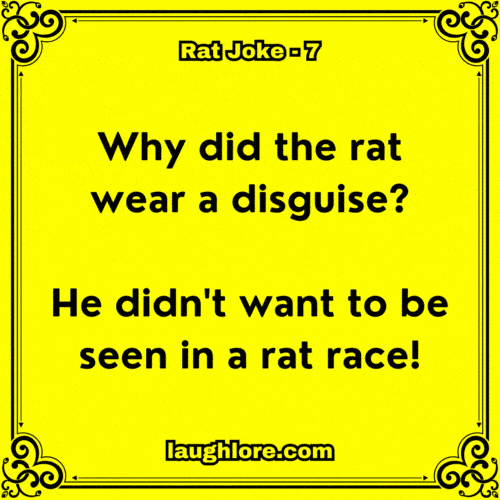 Rat Joke 7