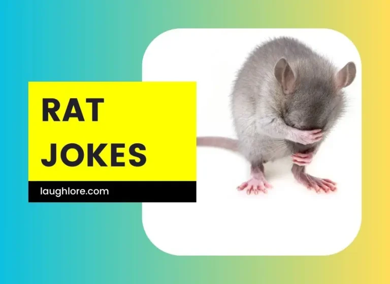 119 Rat Jokes