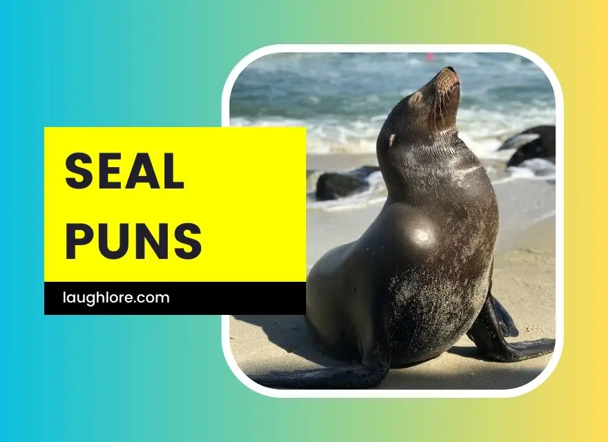 Seal Puns
