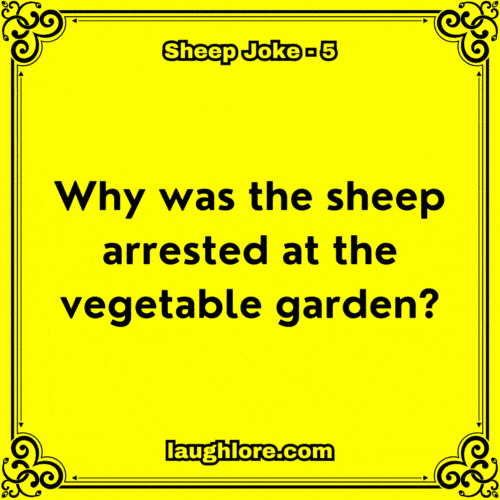 Sheep Joke 5
