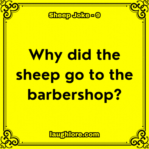 Sheep Joke 9