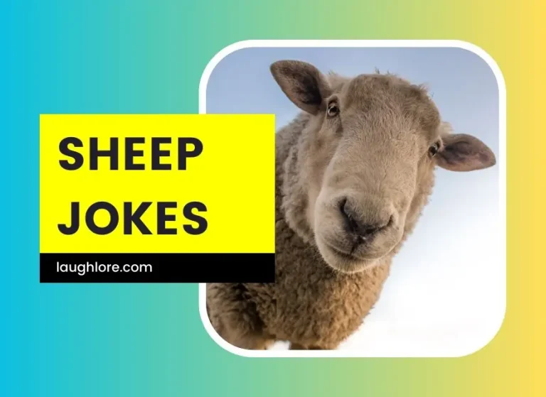 125 Sheep Jokes