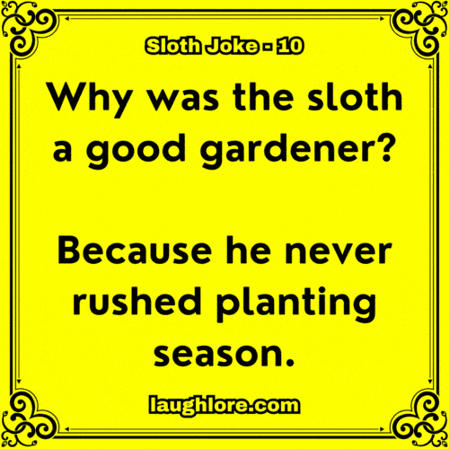 Sloth Joke 10