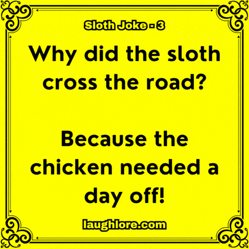 Sloth Joke 3