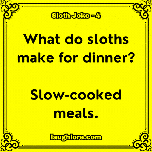 Sloth Joke 4