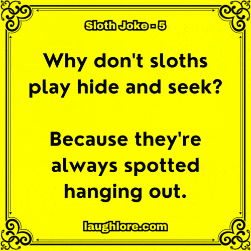 Sloth Joke 5
